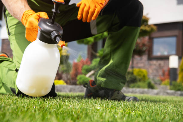 Best Emergency Pest Control  in Memphis, MO