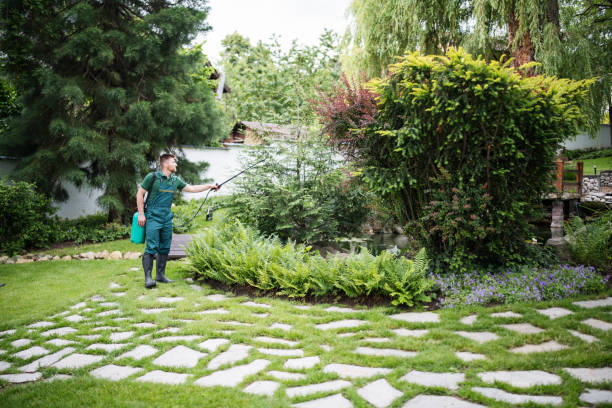 Wasp Removal Services in Memphis, MO