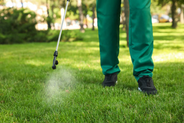 Best Bed Bug Extermination  in Memphis, MO