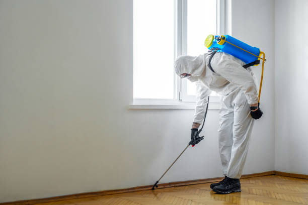 Best Pest Removal Services  in Memphis, MO