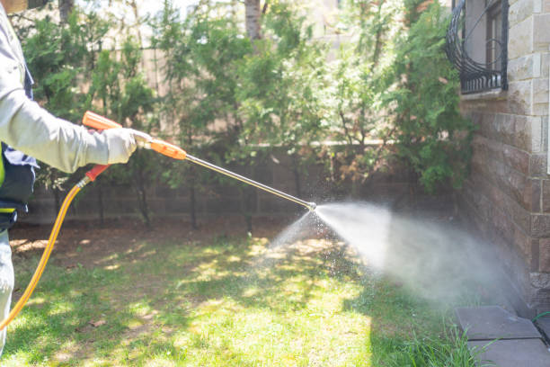 Reliable Memphis, MO Pest Control Solutions