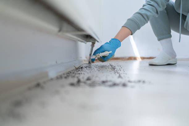 Best Residential Pest Control  in Memphis, MO