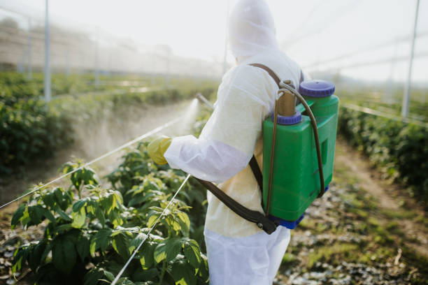 Best Local Pest Control Services  in Memphis, MO